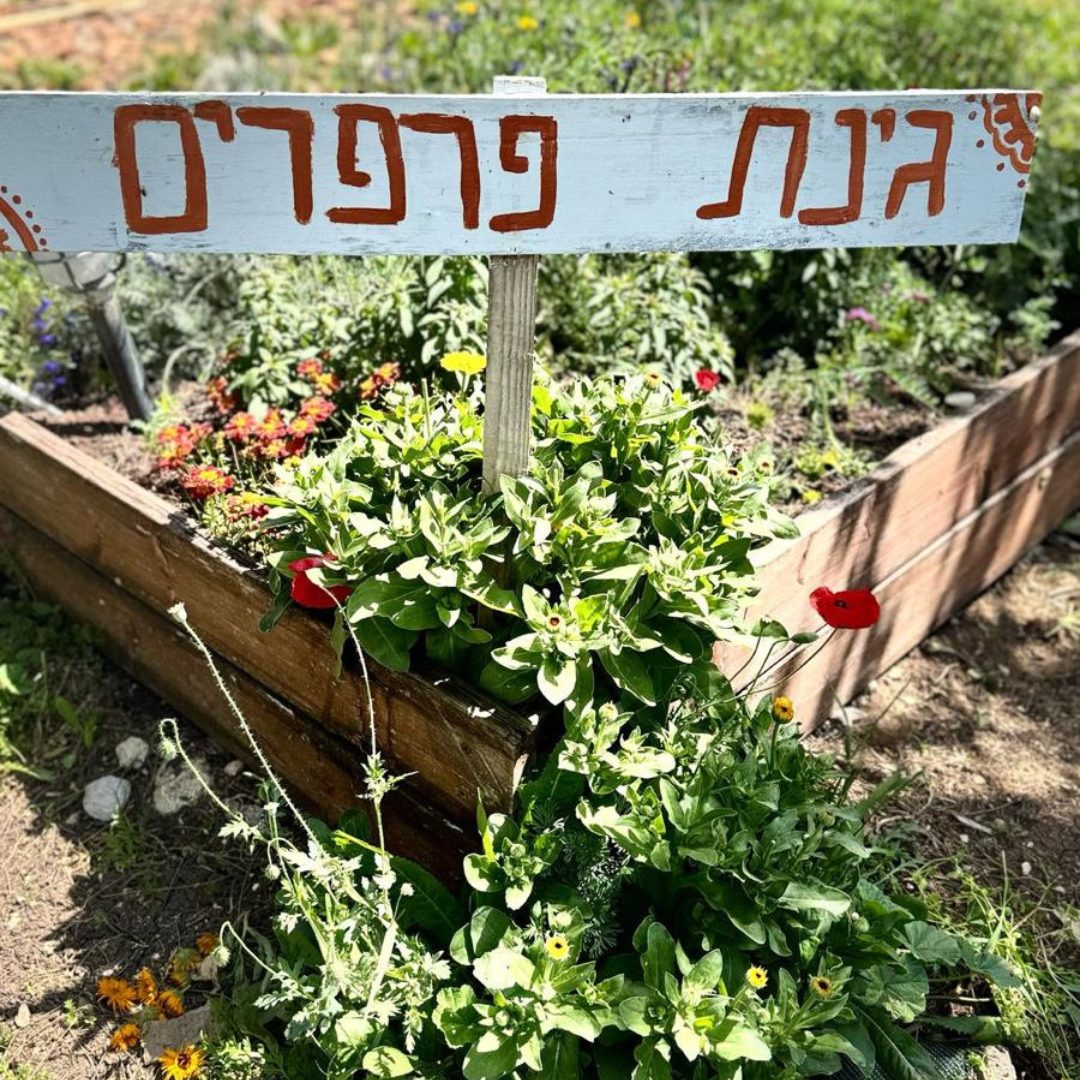 משק