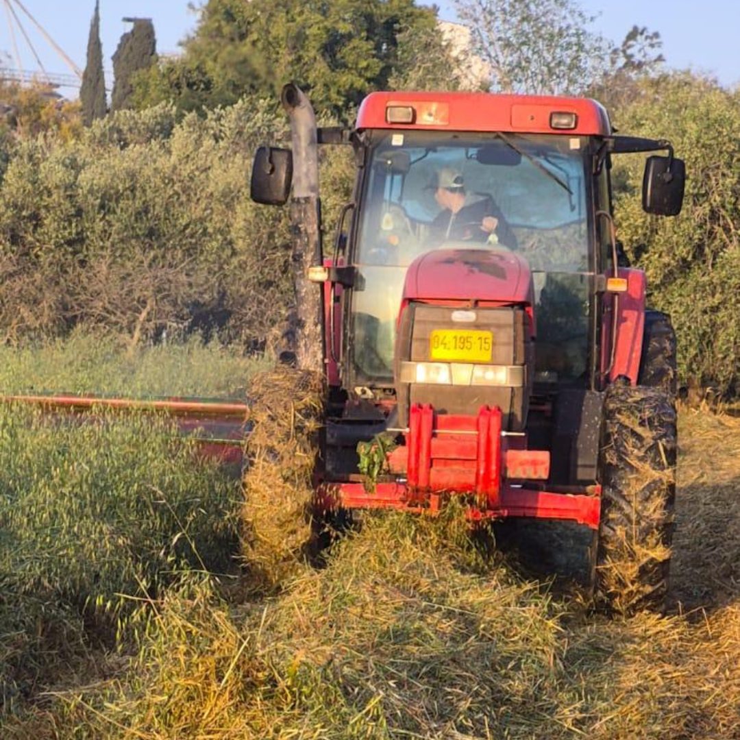 משק
