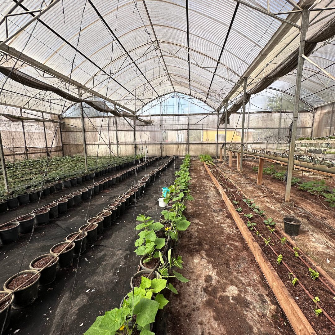 משק