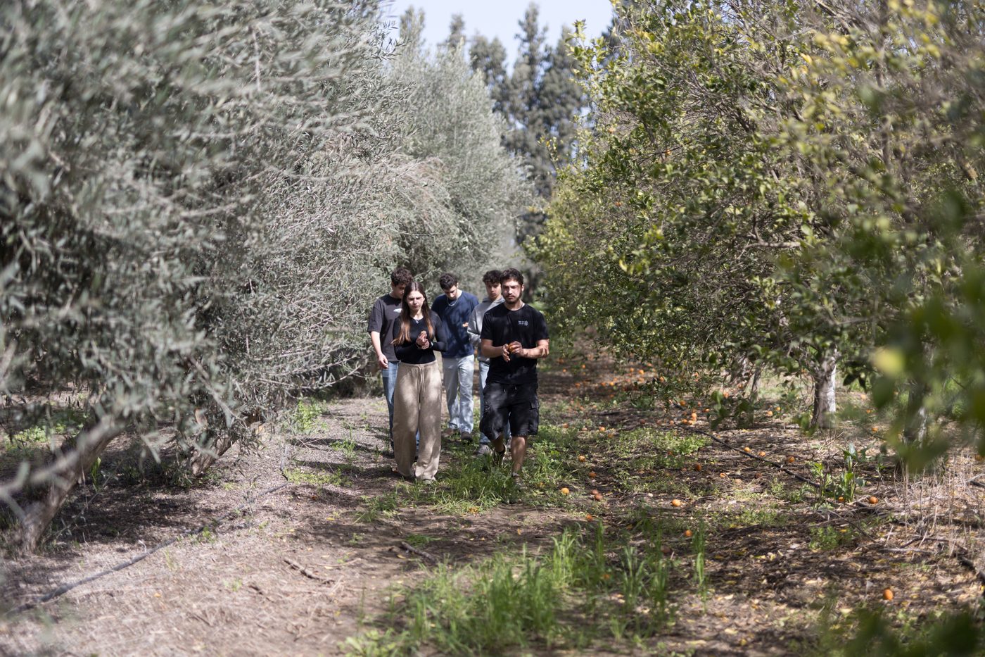נהלל-טק